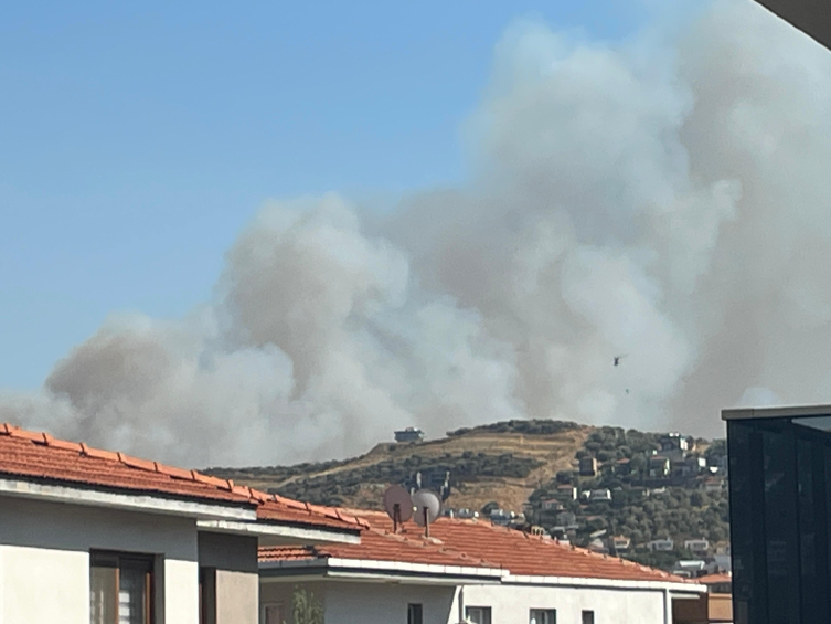 İzmir'de orman yangını