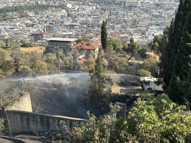 Aydın'da zeytinlik alanda çıkan yangın kontrol altına alındı: 70 dönümlük alan zarar gördü