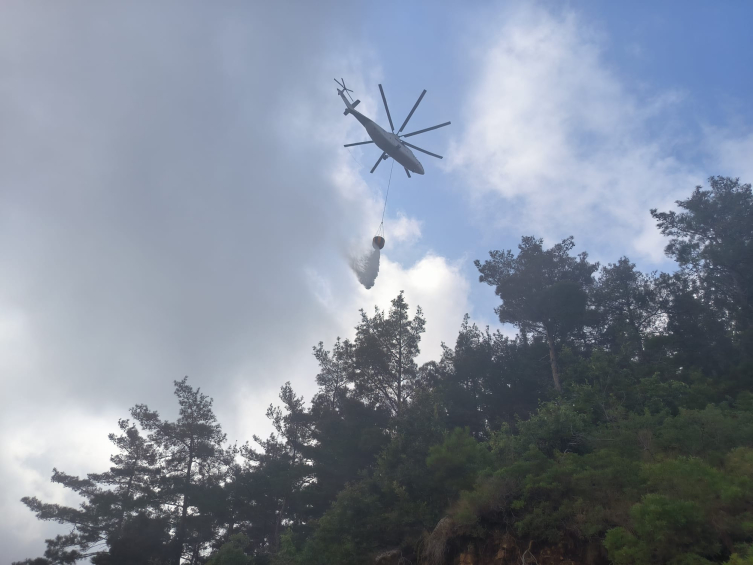 Hatay'da orman yangını