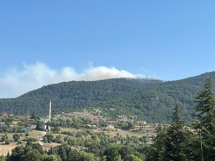 Karabük'te çıkan orman yangınına müdahale ediliyor