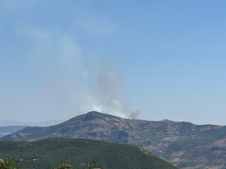 Tunceli'de orman yangını