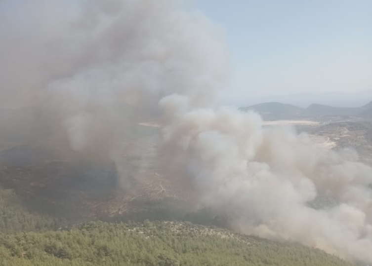 Muğla'da orman yangını