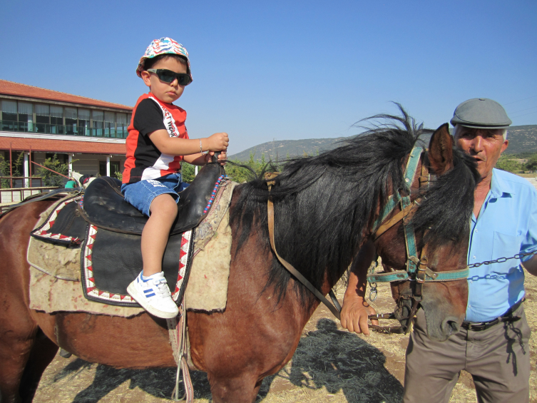 Denizli'de Kale Belediyesi at çiftliği kurdu