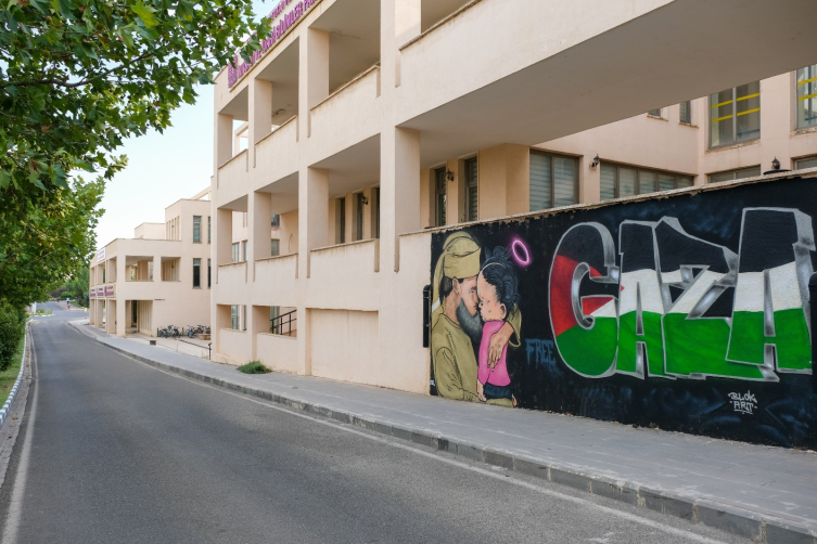 Mardin'de üniversite öğrencileri Gazze'ye destek için duvarlara grafiti çizdi