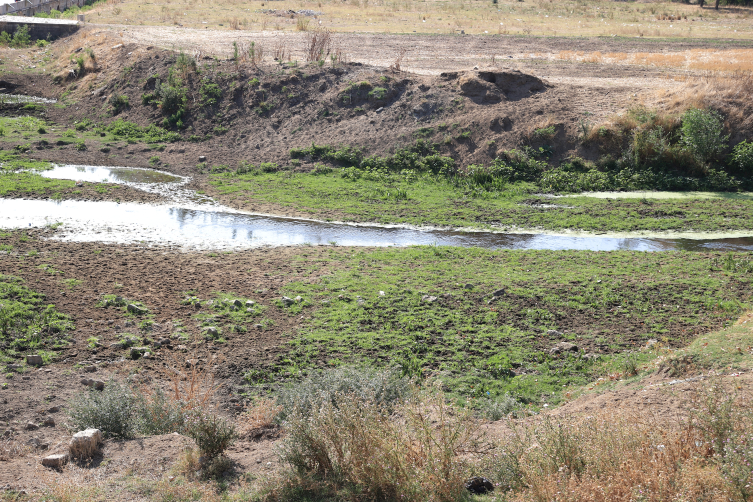 Tunca Nehri'nin bazı bölümleri kurudu