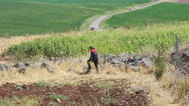 Diyarbakır'da kaybolan 8 yaşındaki Narin'i arama çalışmaları sürüyor