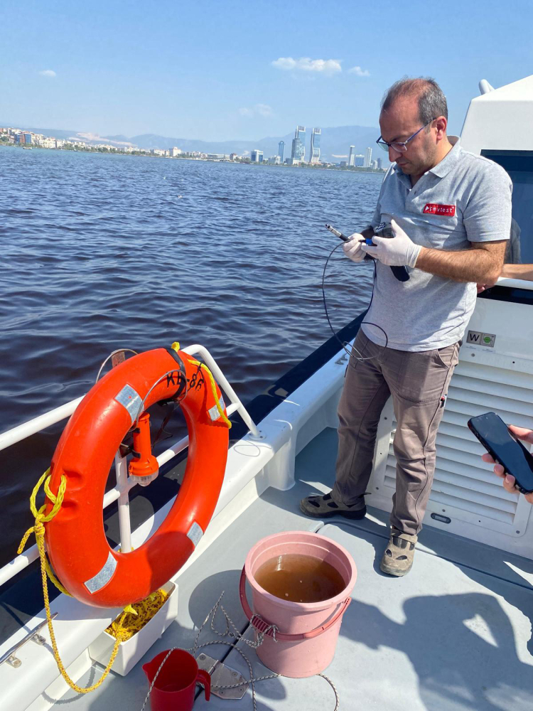 Bakanlıktan İzmir Körfezi'ndeki balık ölümlerine inceleme