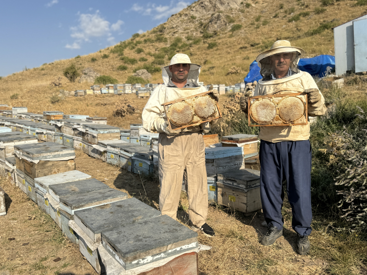 Siirtli üretici devlet desteğiyle 2 bin 47 rakımlı yaylada arıcılık yapıyor