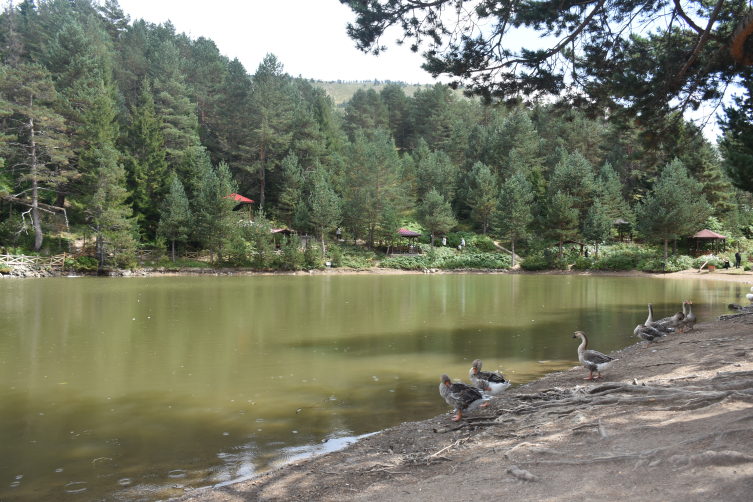 Limni Gölü Tabiat Parkı, doğa tutkunlarını ağırlıyor