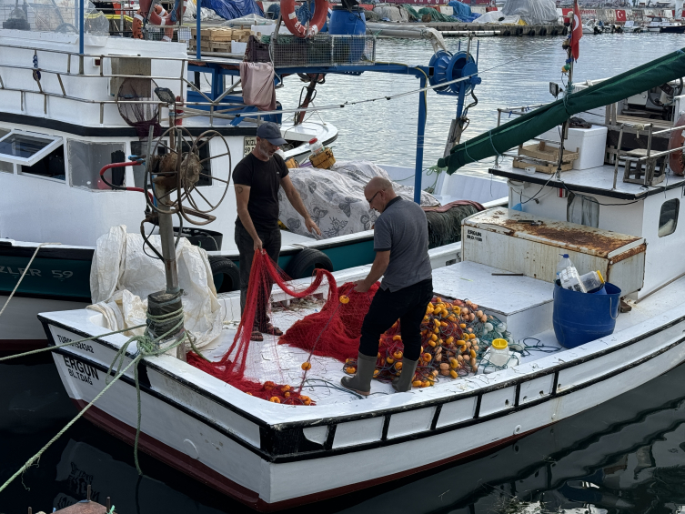 Tekirdağlı balıkçılar rotayı Karadeniz'e çevirdi