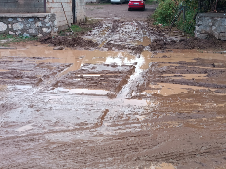 Bitlis'te sağanak etkili oldu