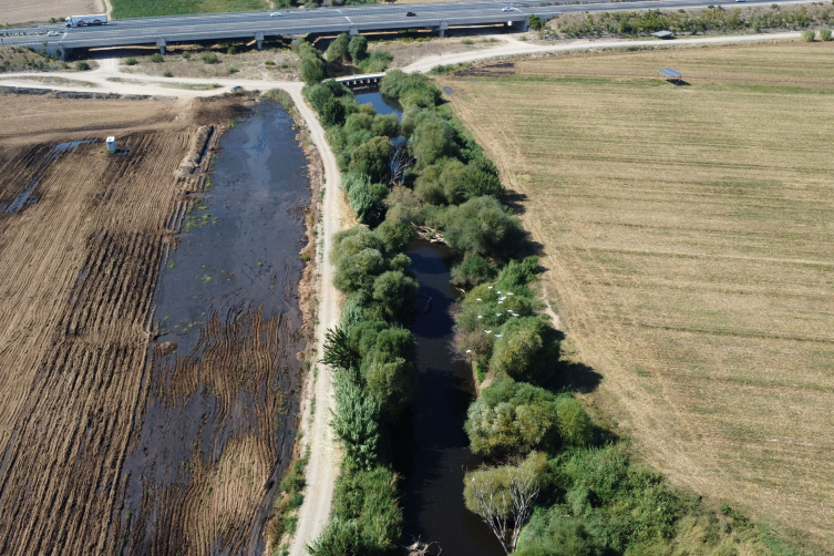 Gediz Nehri'ndeki balık ölümleriyle ilgili inceleme başlatıldı