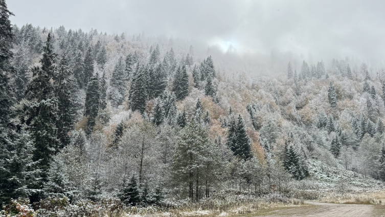 Artvin'de kar yağışı etkili oldu