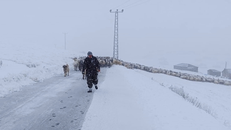 Trabzon'da yaylada mahsur kalan çoban kurtarıldı