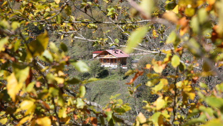 Ilgaz'da kış ve sonbahar aynı anda yaşanıyor