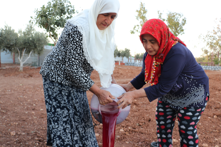 Kilis'te kadınlar kışlık için nar ekşisi üretiyor