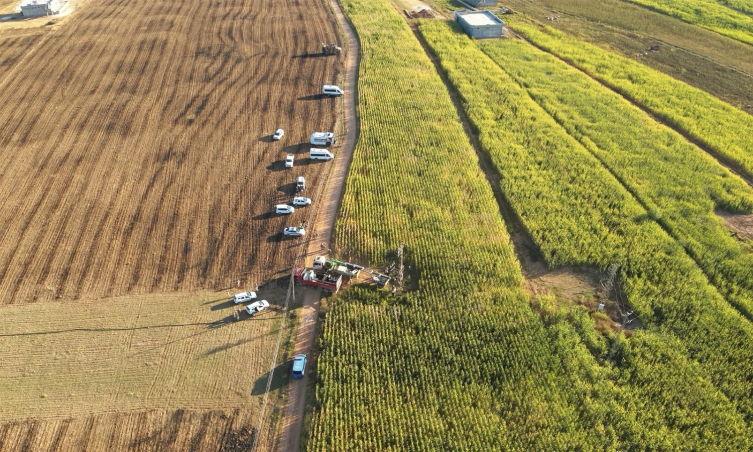 Şanlıurfa'da tarlalarda 15 kayıt dışı trafo tespit edildi