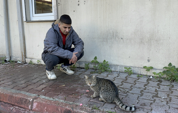 Hırsız kedi kameralara yakalandı