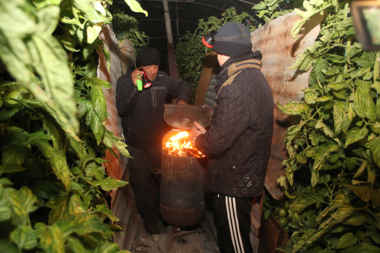 Mersin'de seralarda zirai don nöbeti başladı