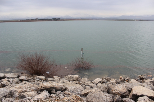 Fotoğraf: TRT Haber