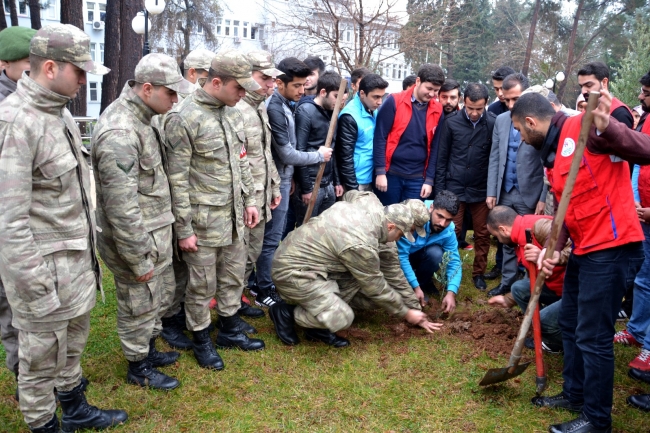 81 İlde ve yurtdışında Zeytin Dalı Harekatı'na destek verildi