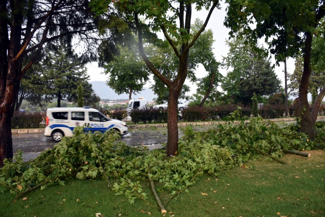 Ağaçlar devrildi, elektrik telleri koptu, yol kapandı