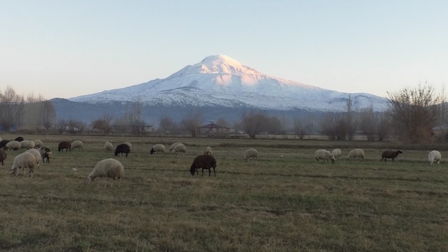 Fotoğraf: İHA