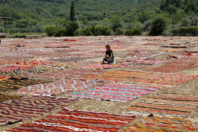 Antalya'da tarlalar halı açtı