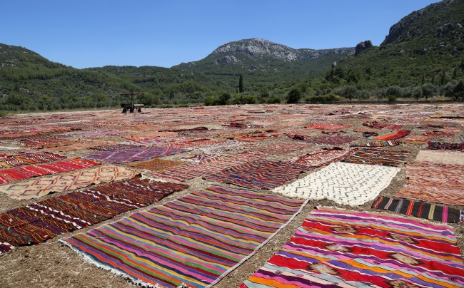 Antalya'da tarlalar halı açtı