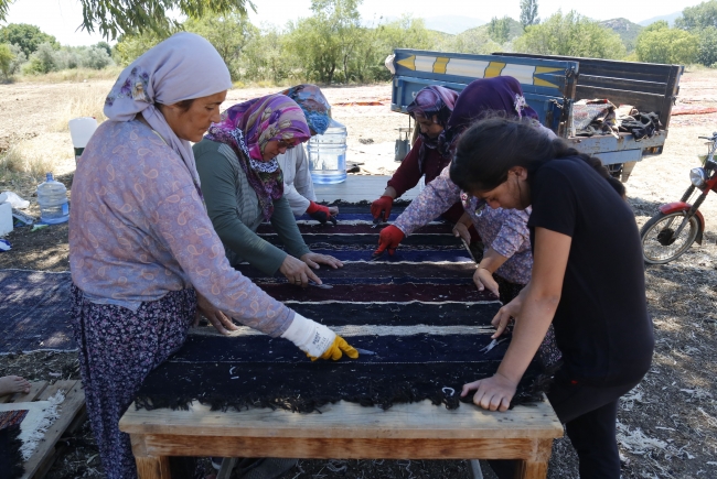 Antalya'da tarlalar halı açtı