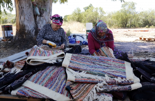 Antalya'da tarlalar halı açtı