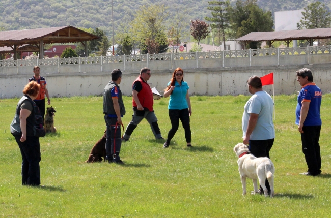 Arama kurtarma köpekleri en iyi olmak için yarıştı