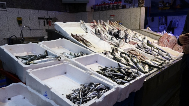 Avı yasaklandı, şoklanmış hamsi tezgahlara geldi