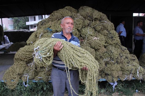 Bamyanın tarladan sofraya zorlu yolculuğu