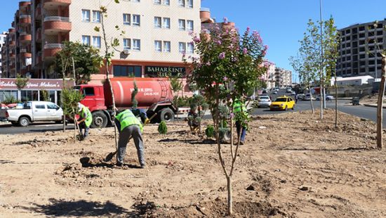 Kayyum atanan belediyelerden halk memnun