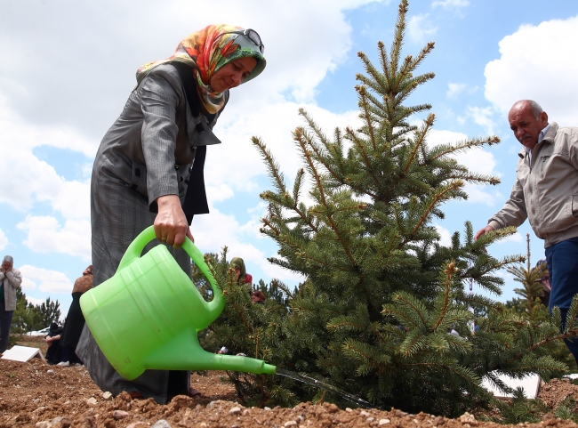 Atatürk Orman Çiftliği'ne 2,1 milyon fidan dikildi