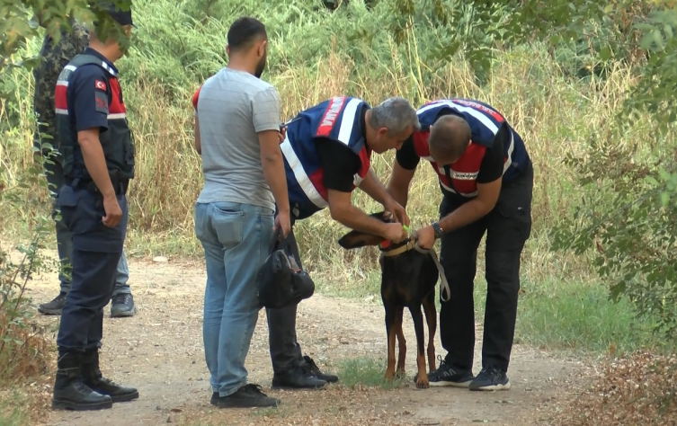 Kayıp ekonomist Berzeg'e ulaşılması için su depoları boşaltıldı