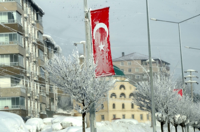 Doğu Anadolu'da dondurucu soğuklar etkili oluyor