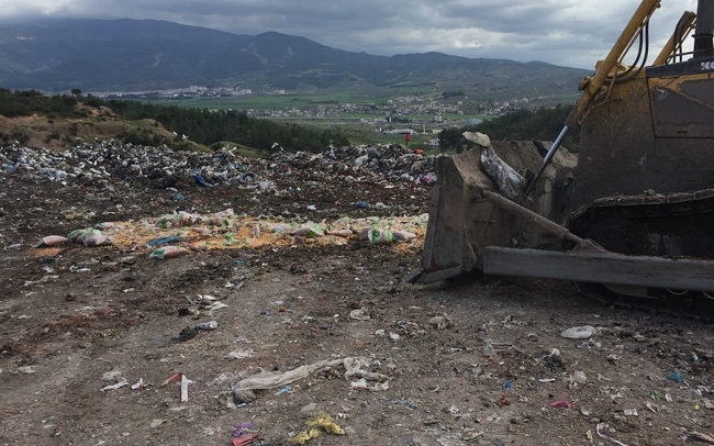 Boyanarak satılmaya çalışılan 1 ton yer fıstığı imha edildi