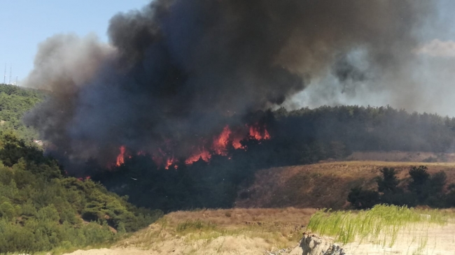 Çanakkale'deki orman yangını kontrol altına alındı