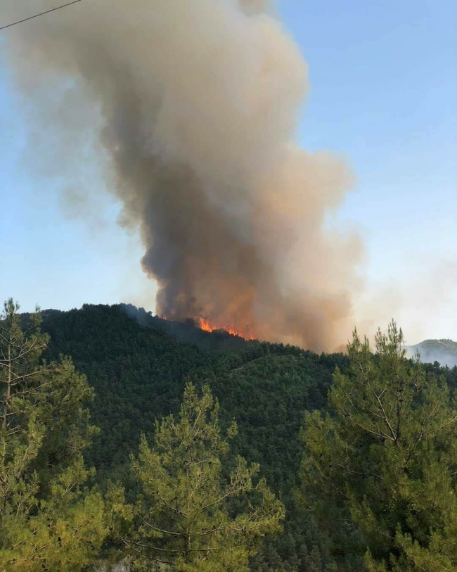 Hatay'da çıkan orman yangını kontrol altına alındı