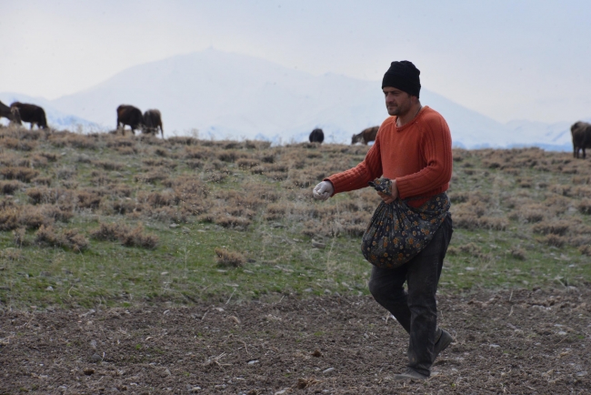 Erzurum'da ekim sezonu başladı