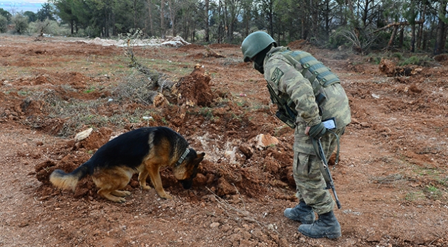 Burseya Dağı patlayıcılardan arındırılıyor