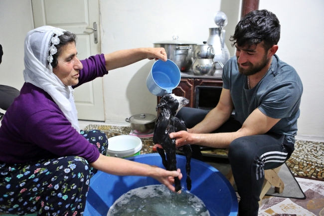 Annesinin reddettiği oğlağa torunları gibi bakıyorlar