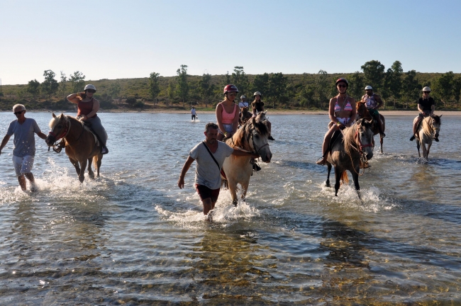 Didim'de atlı safari turları ilgi çekiyor