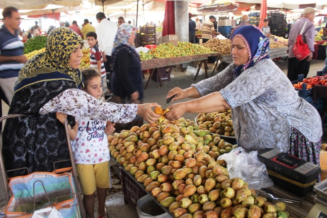 Dikeni acıtsa da geliri sevindiriyor