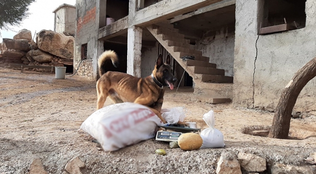 Fotoğraf: TRT Haber