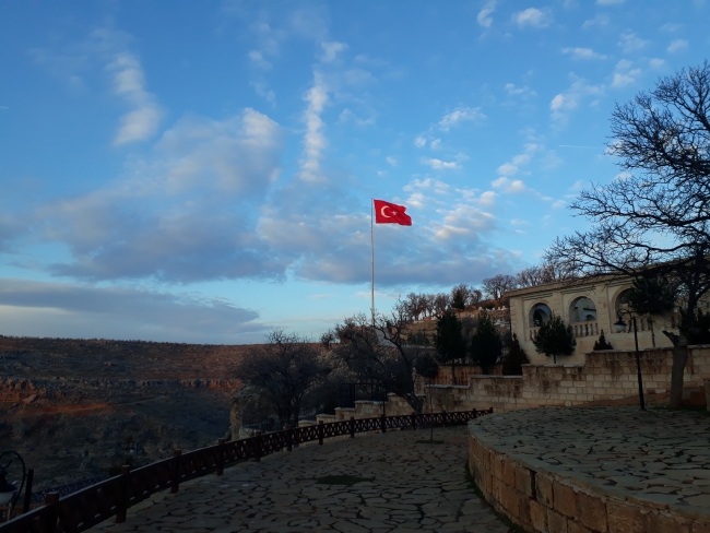 Türkiye tek yürek 'Zeytin Dalı'na tam destek