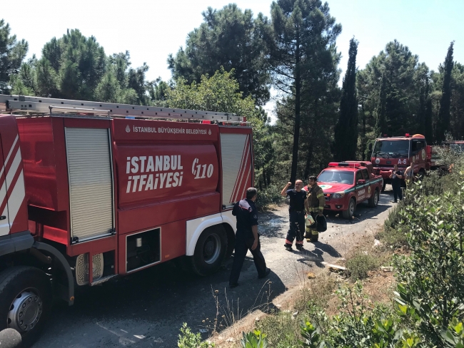 İstanbul Pendik'te orman yangını