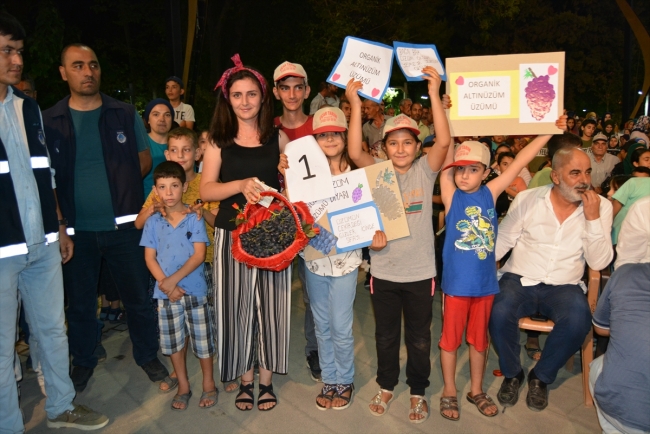 Geleneksel İslahiye üzüm ve biber festivali düzenlendi